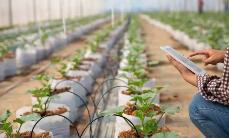 Agritech Product Development